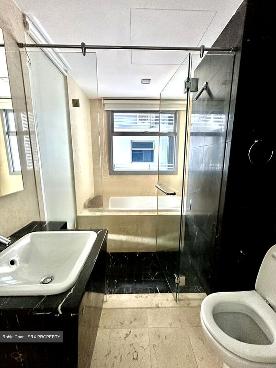 Residences @ Evelyn (D11), Condominium #604857511